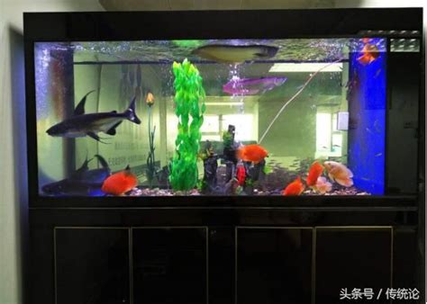 房間魚缸|魚缸能招財…但千萬別放這些地方！觸犯「5禁忌」反損財 